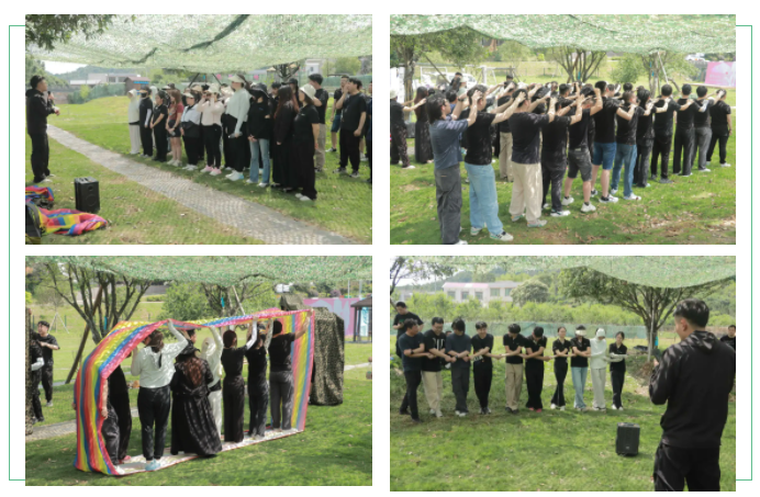 湖南夢(mèng)蝶科技