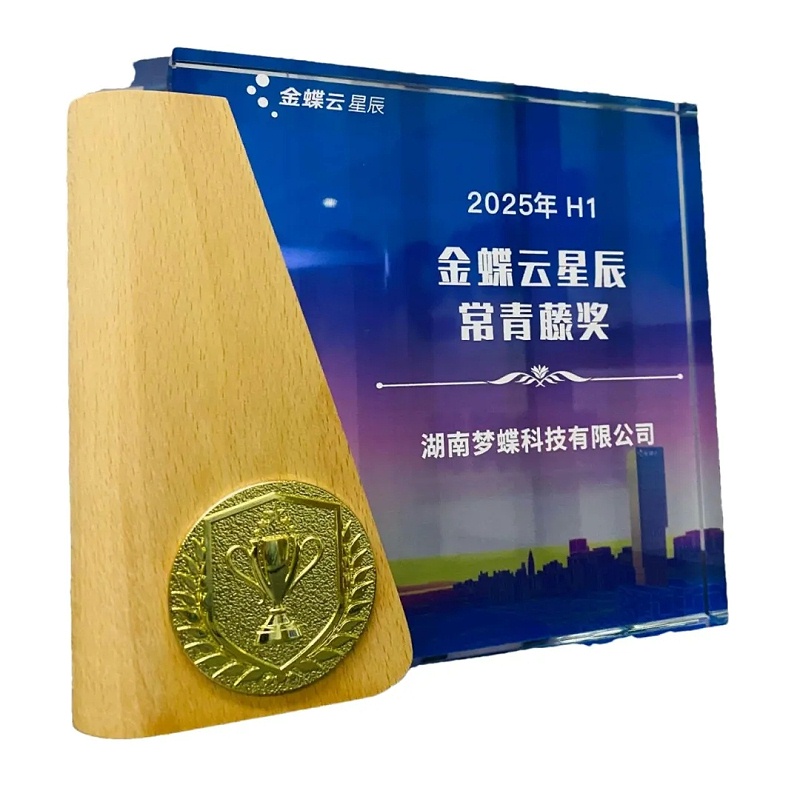 金蝶云星辰常青藤獎(jiǎng)