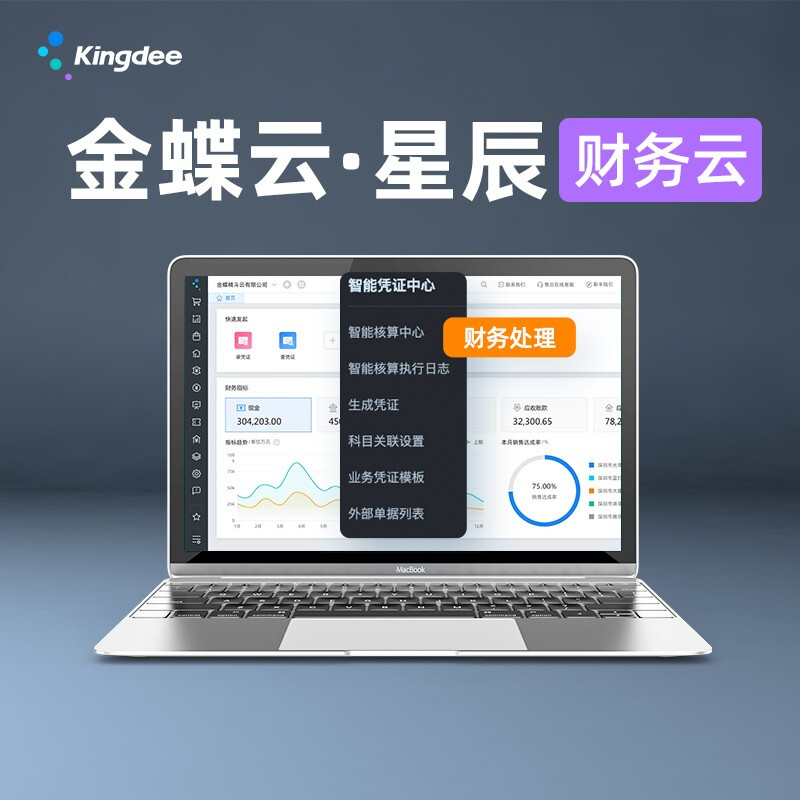 金蝶云星辰財稅云-sass網頁版云端財務軟件