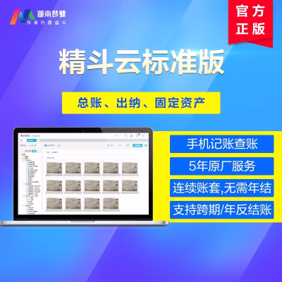 金蝶精斗云標準版