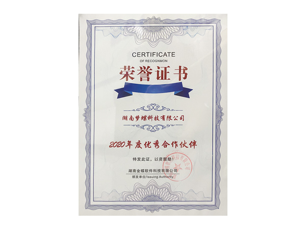 金蝶年度優秀合作伙伴