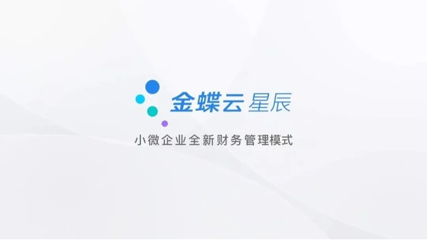 金蝶云星辰旗艦版