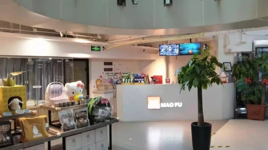 金蝶云星辰寵物行業案例：新零售時代，寵物企業如何決勝市場?