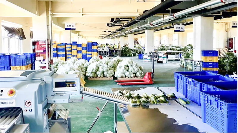 夢蝶科技案例分享：冷鏈物流企業(yè)跑步入局，數(shù)字化逐鹿百億級賽道